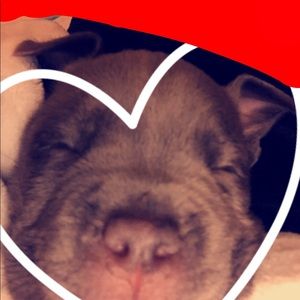 Meet your Posher, Cassie